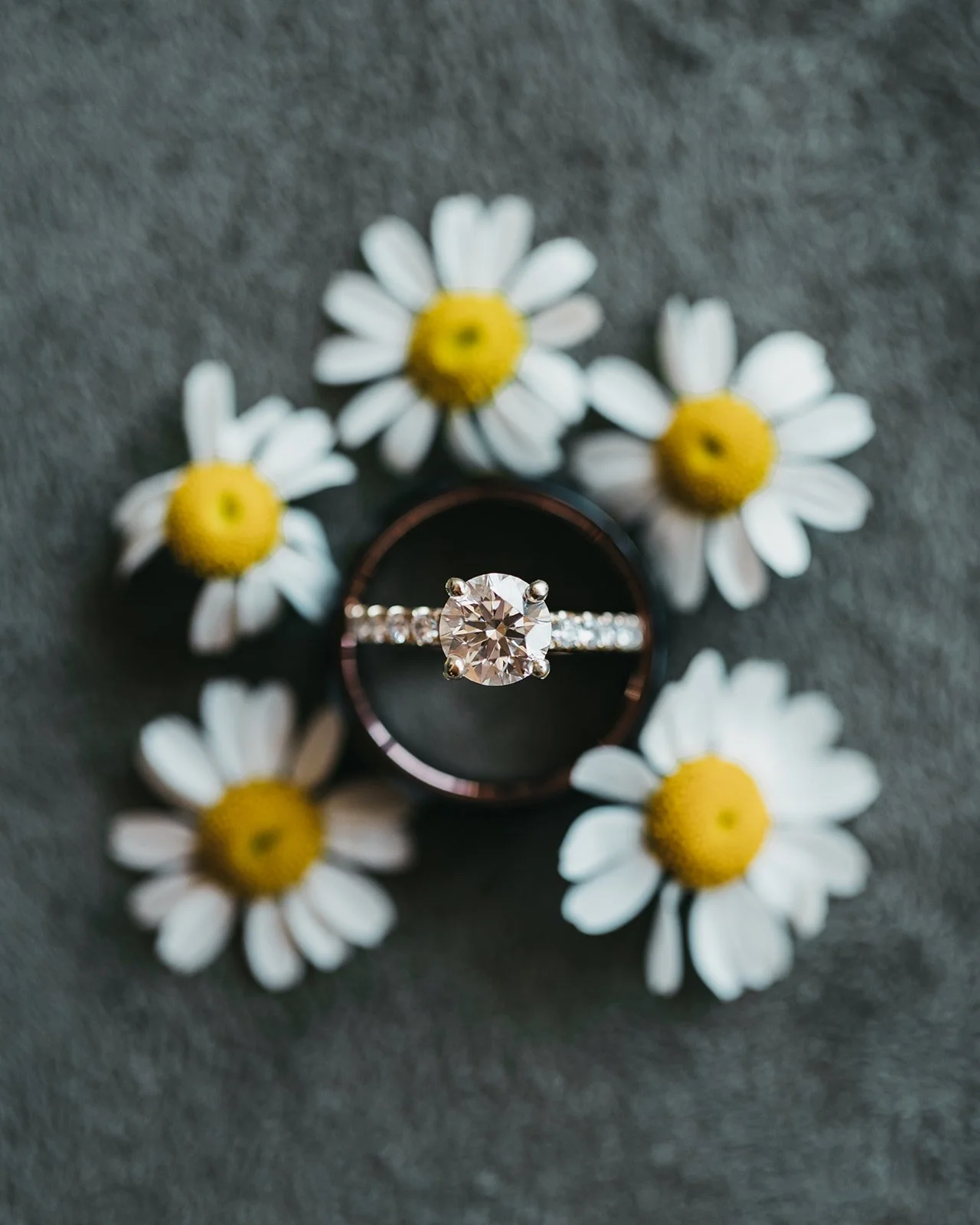 vildphotography-tahoe-wedding-S&A-5.jpg