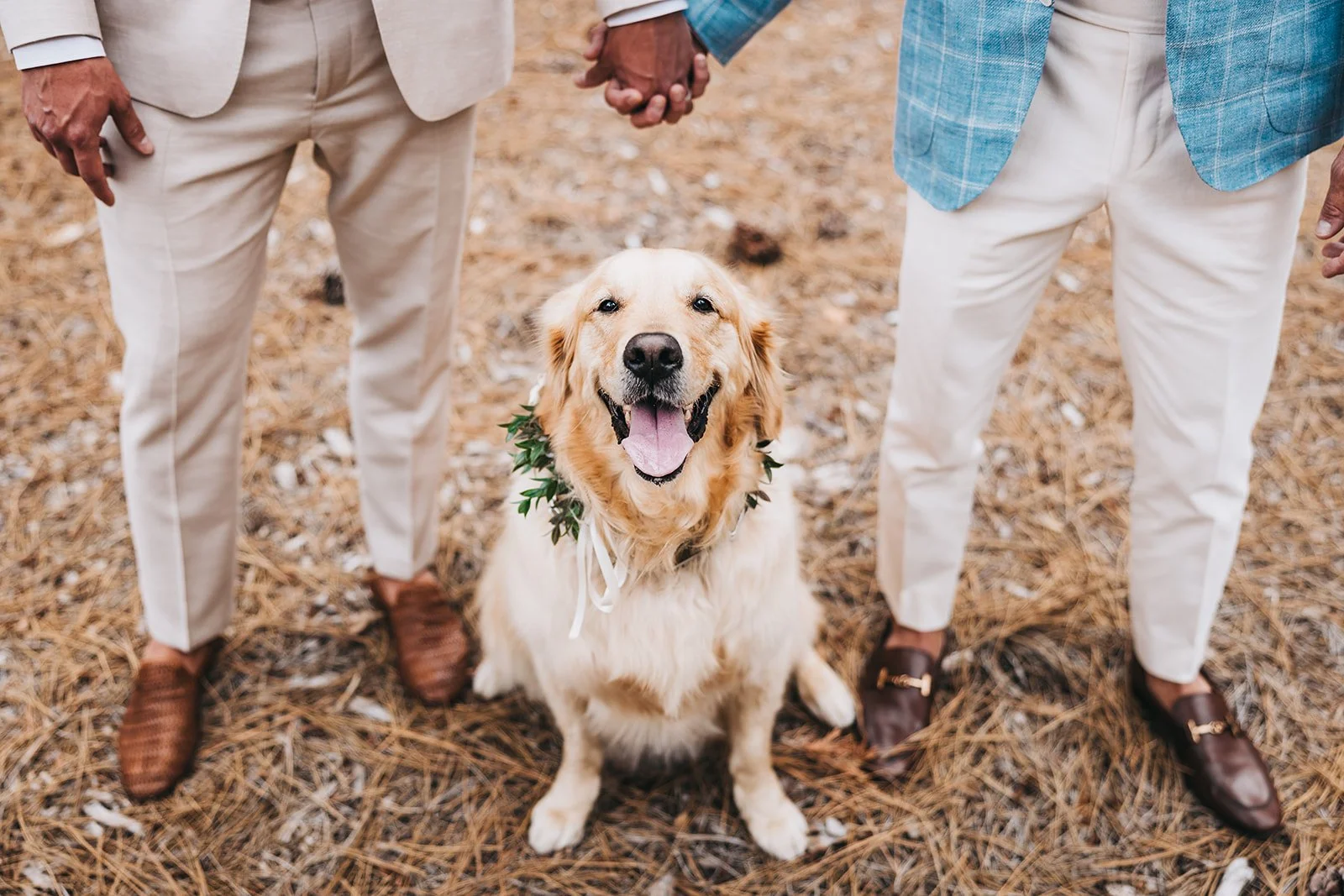vildphotography-tahoe-wedding-A&A-361.jpg