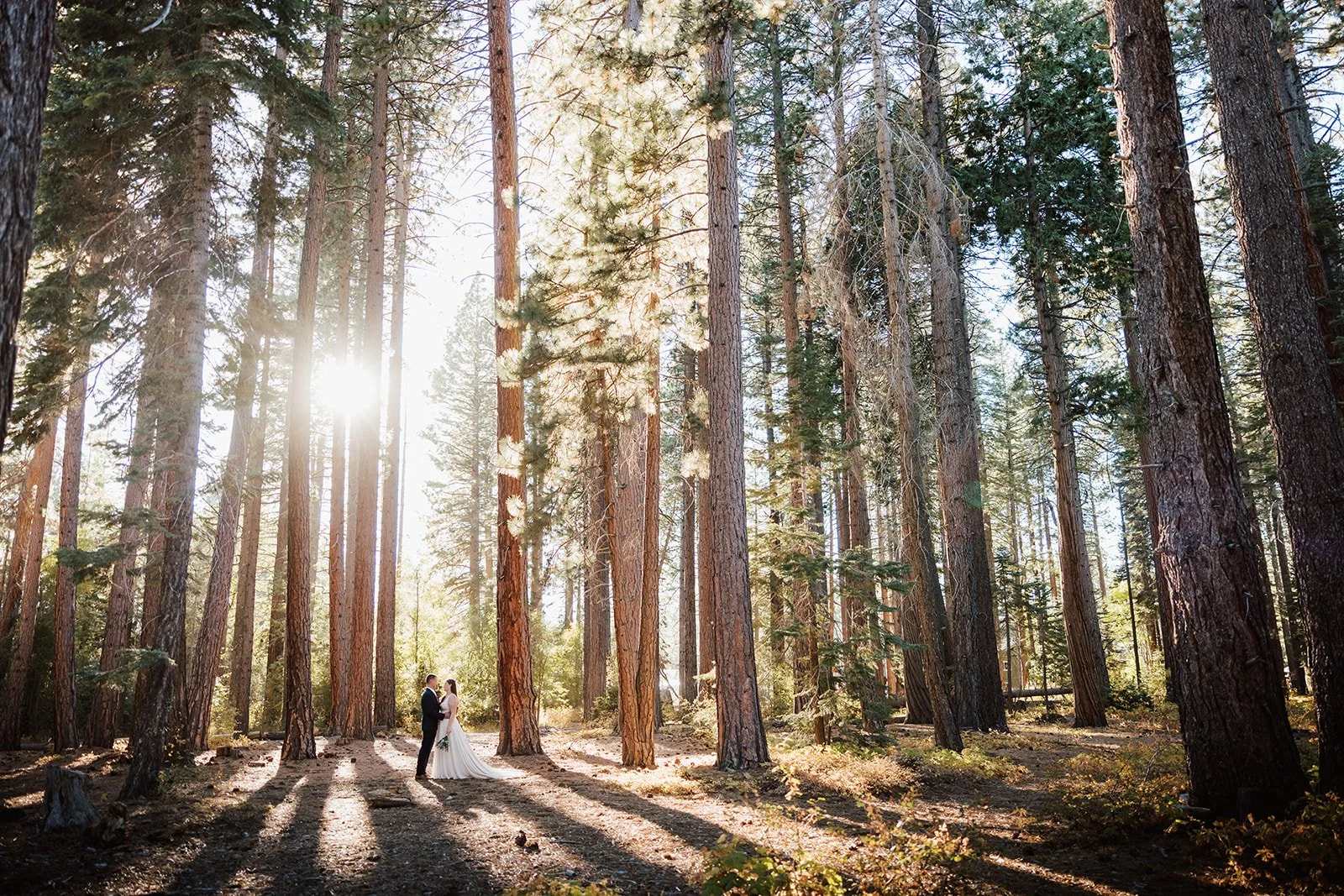 vildphotography-tahoe-wedding-A&Z-156.jpg