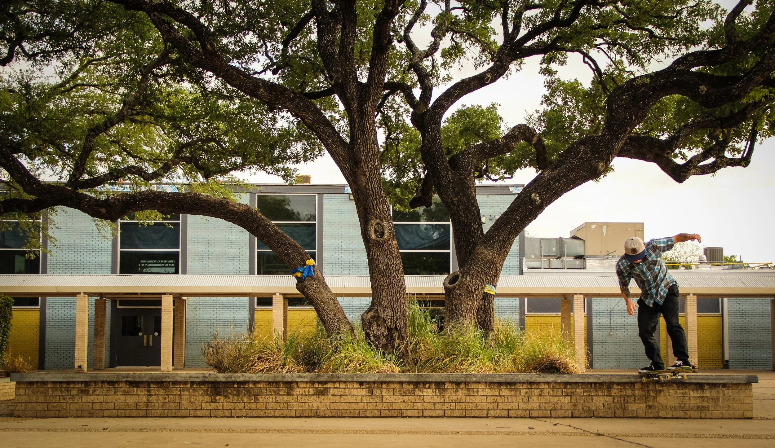 Cody Mcentire back tail.jpg