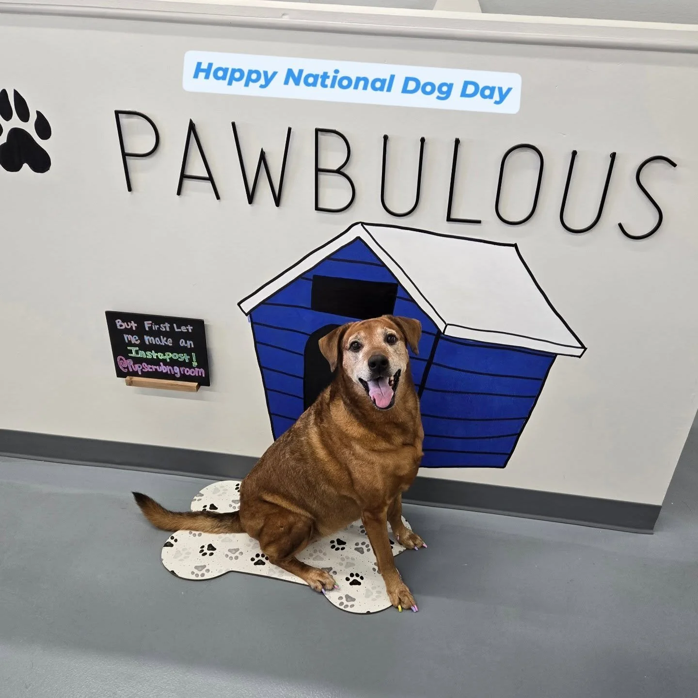 Happy National Dog Day! 🐾🫶