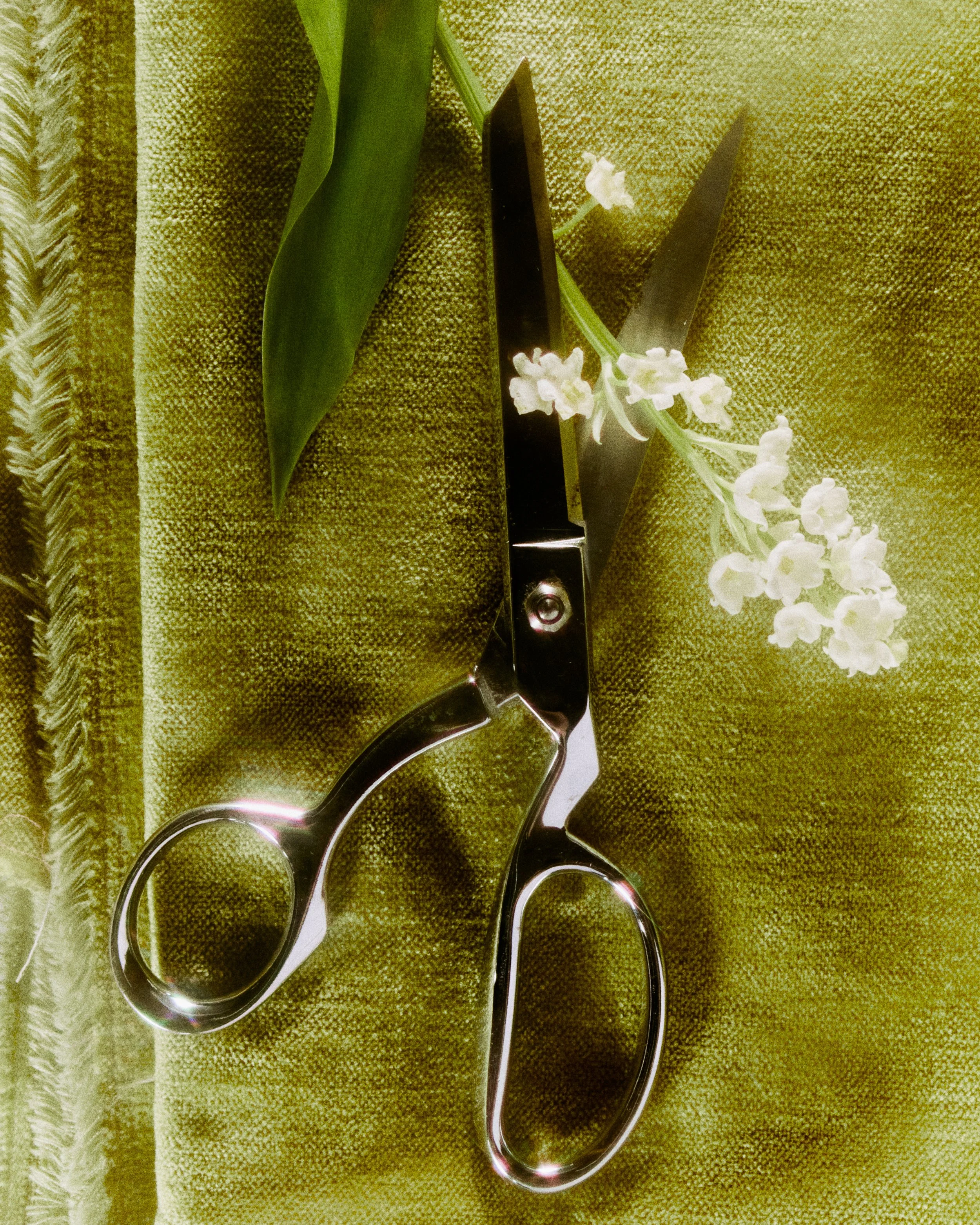 EJI_SCISSORS1_0297_final.jpg