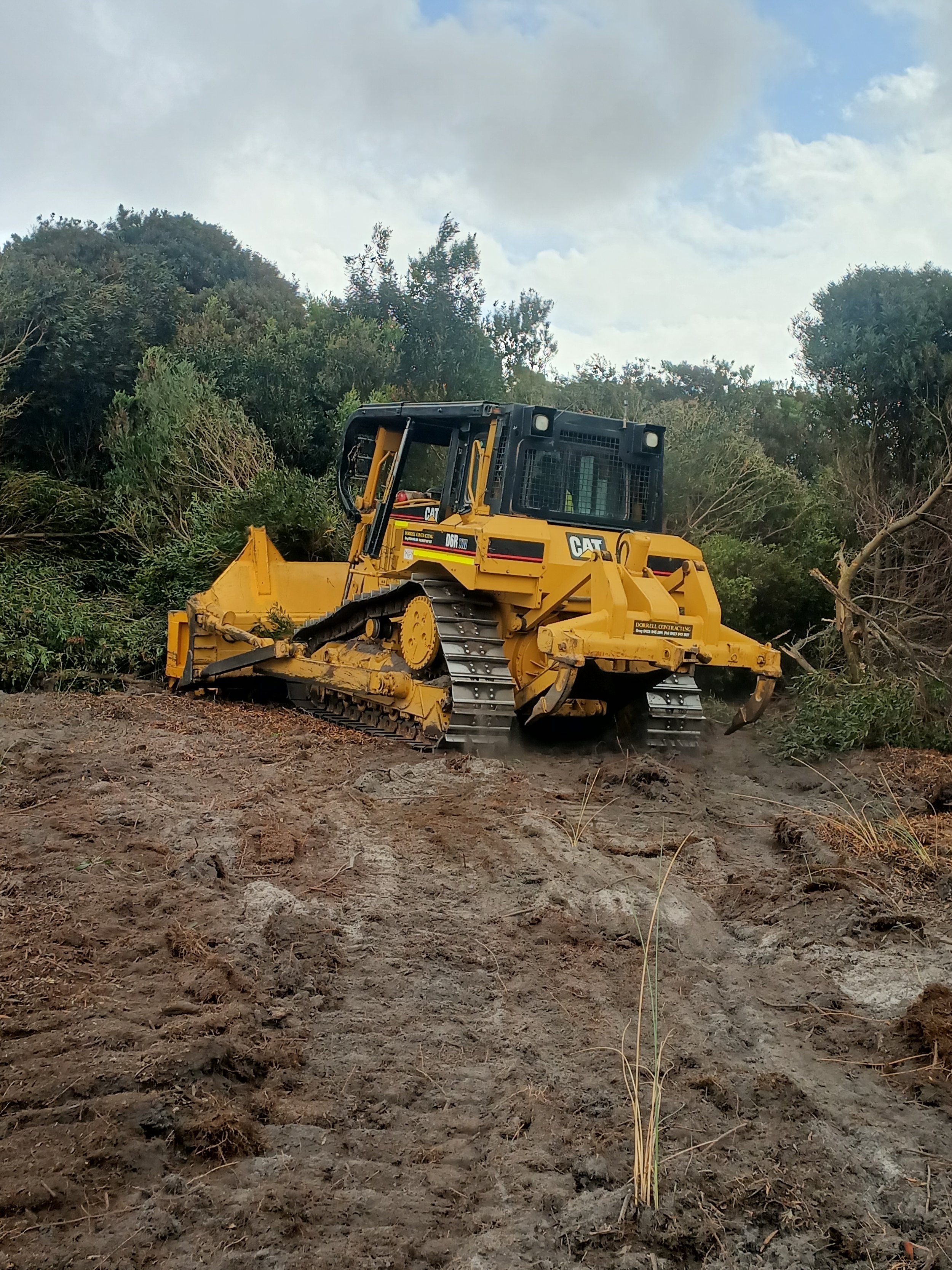 Removal of invasive species for land management