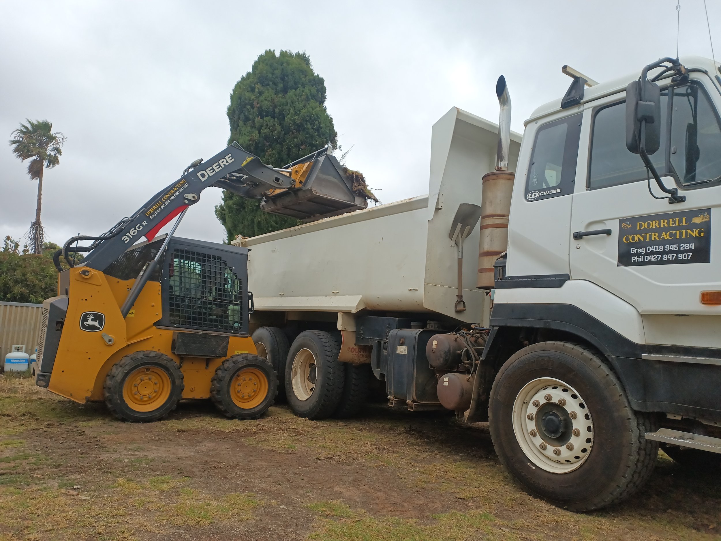 Disposal of kikuyu