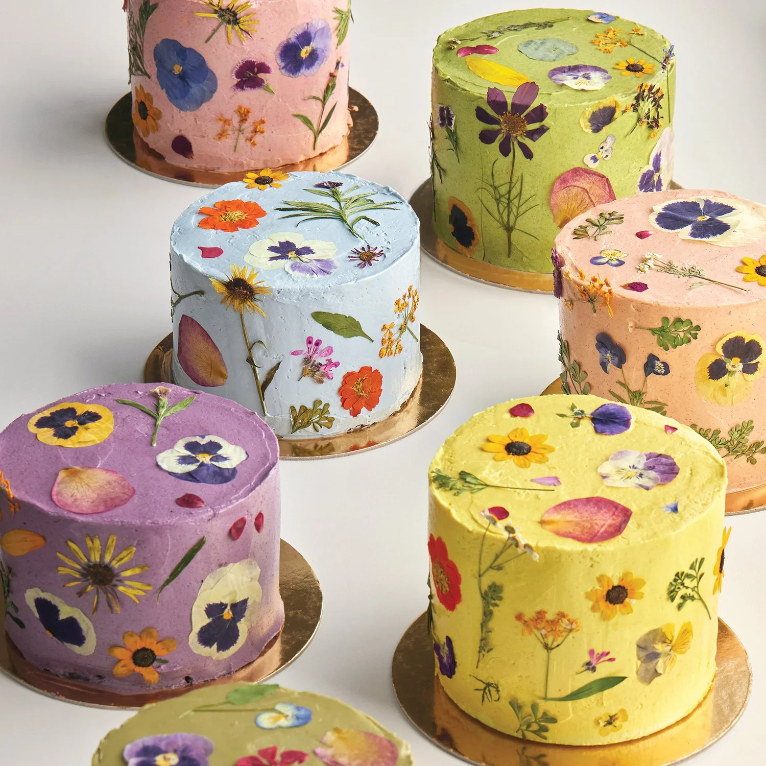 Loria Stern | Culinary Artist, Entrepreneur, CEO of Eat Your Flowers