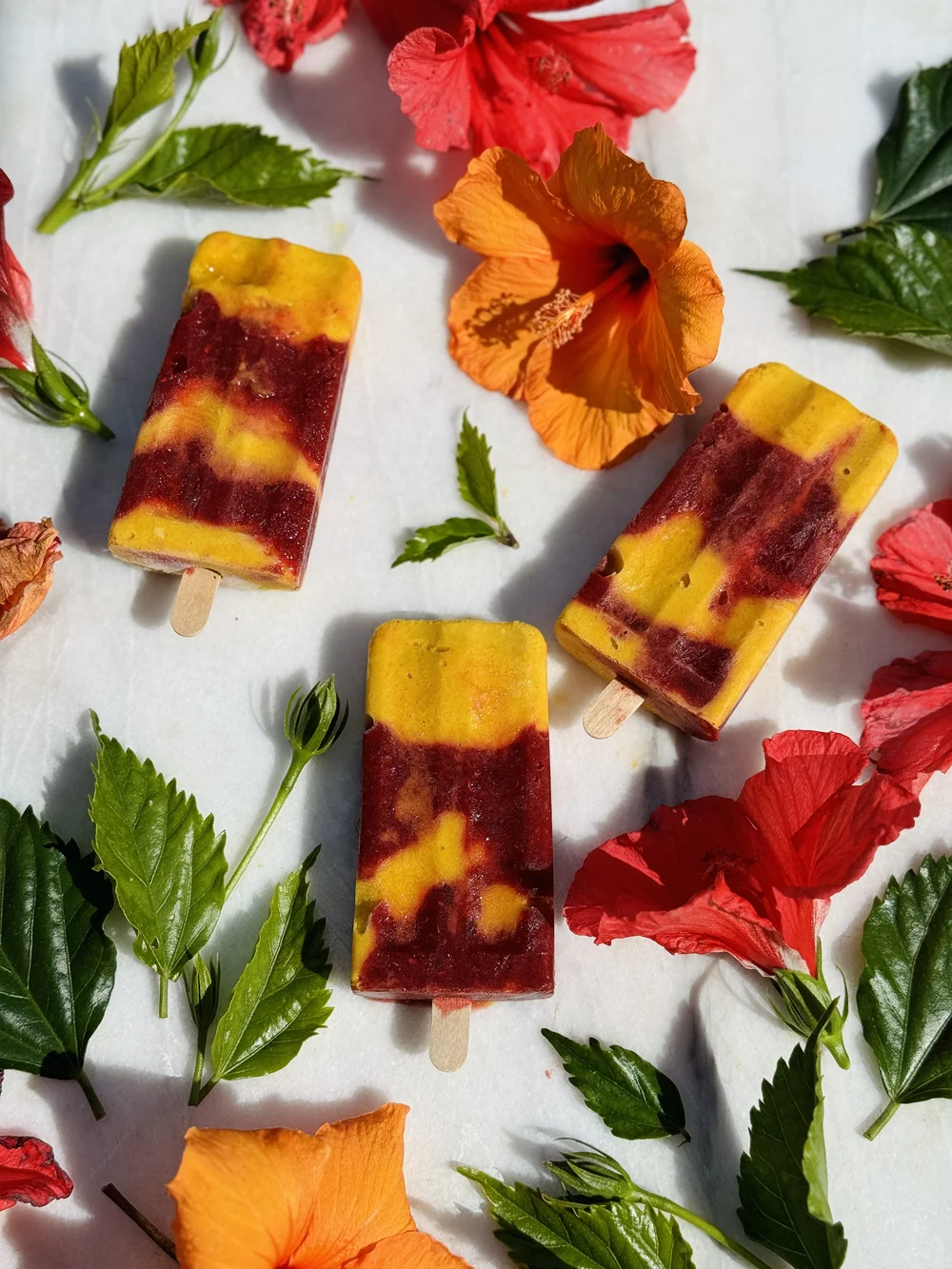 Hibiscus Mango Popsicles — Loria Stern