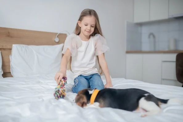 Laundry Strategies for Households With Kids, Pets, or Active&nbsp;Lifestyles