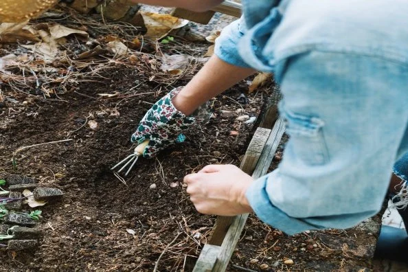 Spring Landscaping Projects That Can Accidentally Damage Sewer Lines