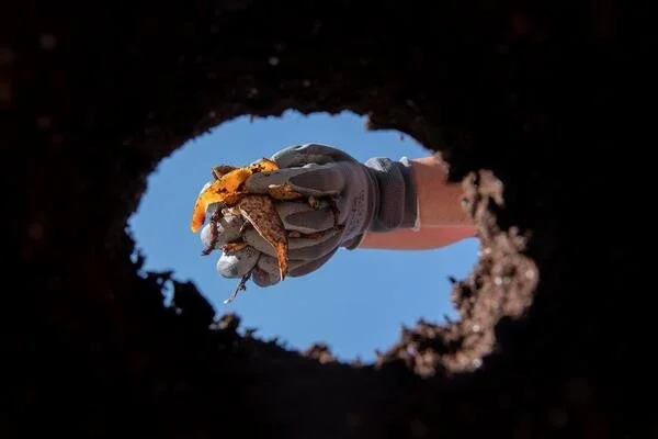 How Trenchless Sewer Replacement Reduces Repair Time