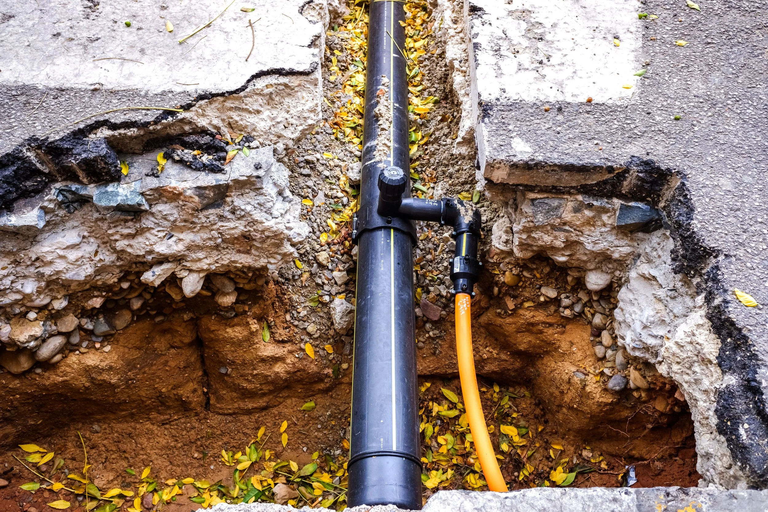 Warning Signs of a Failing Sewer Line Before a Backup Happens