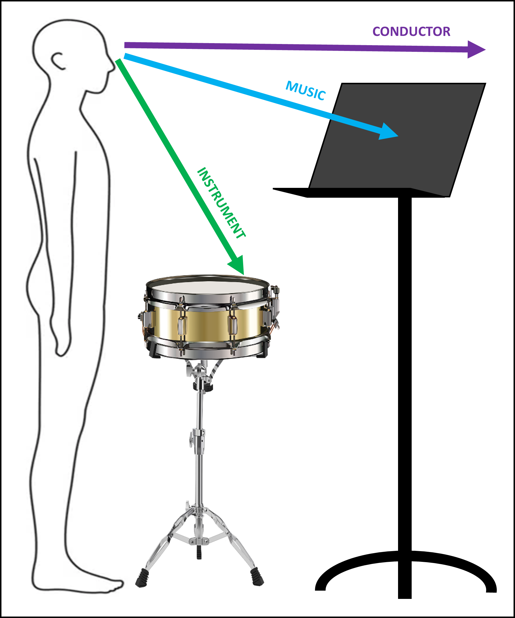 Diagram of a percussionist at a snare drum. The music stand is high. Coloured arrows (purple, blue, green) demonstrate the musician's three main sightlines (conductor, music, instrument). The conductor is closer to the music.
