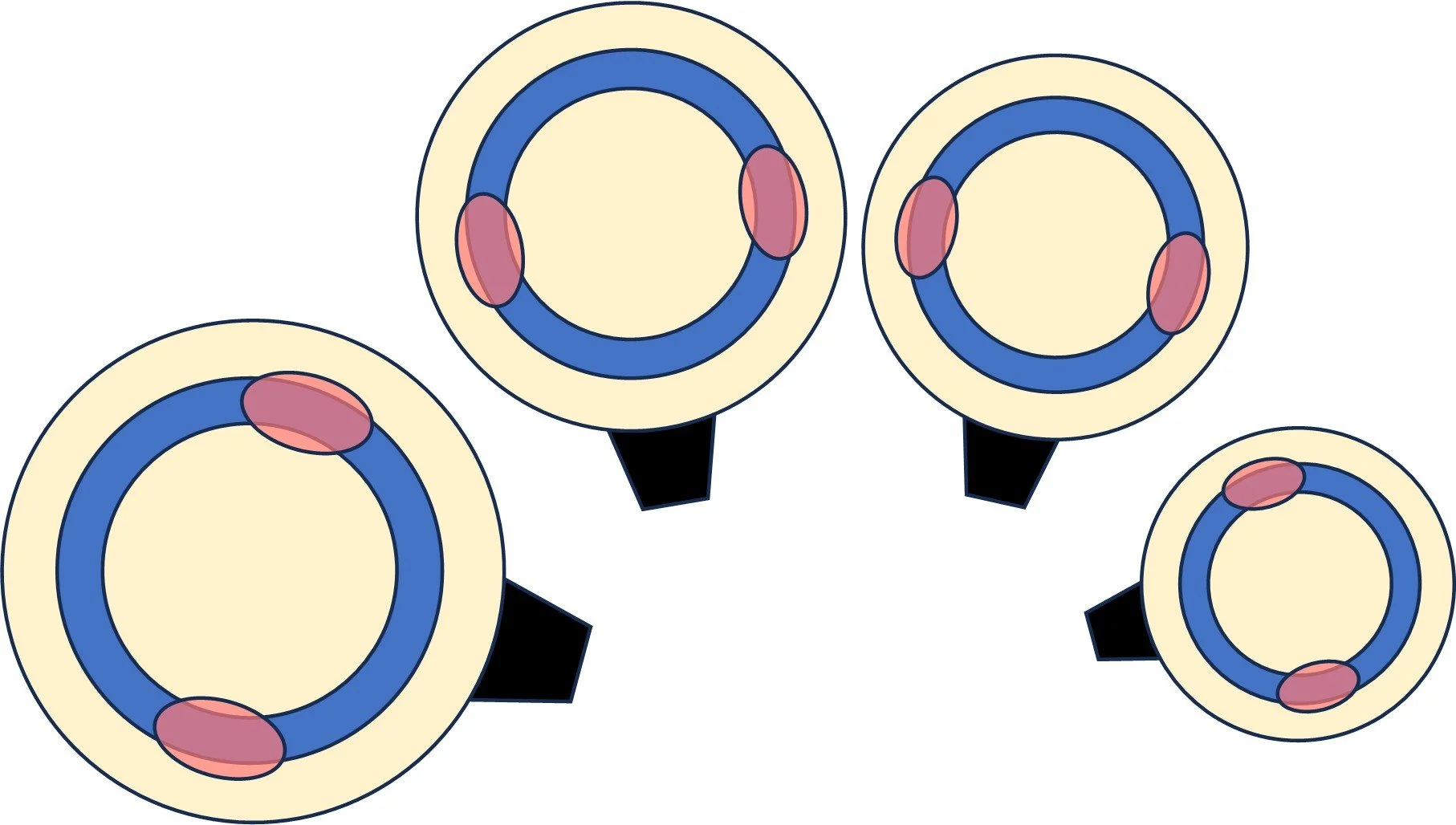 Diagram of four timpani, showing that the second-best playing zone is to the left and right of the drum, 3 to 4 inches away from the rim.