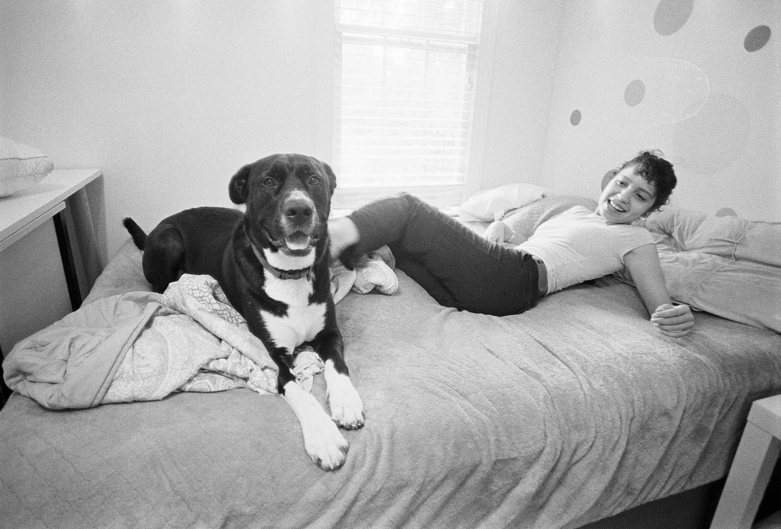 Lime and Analyse in my old room, 2026