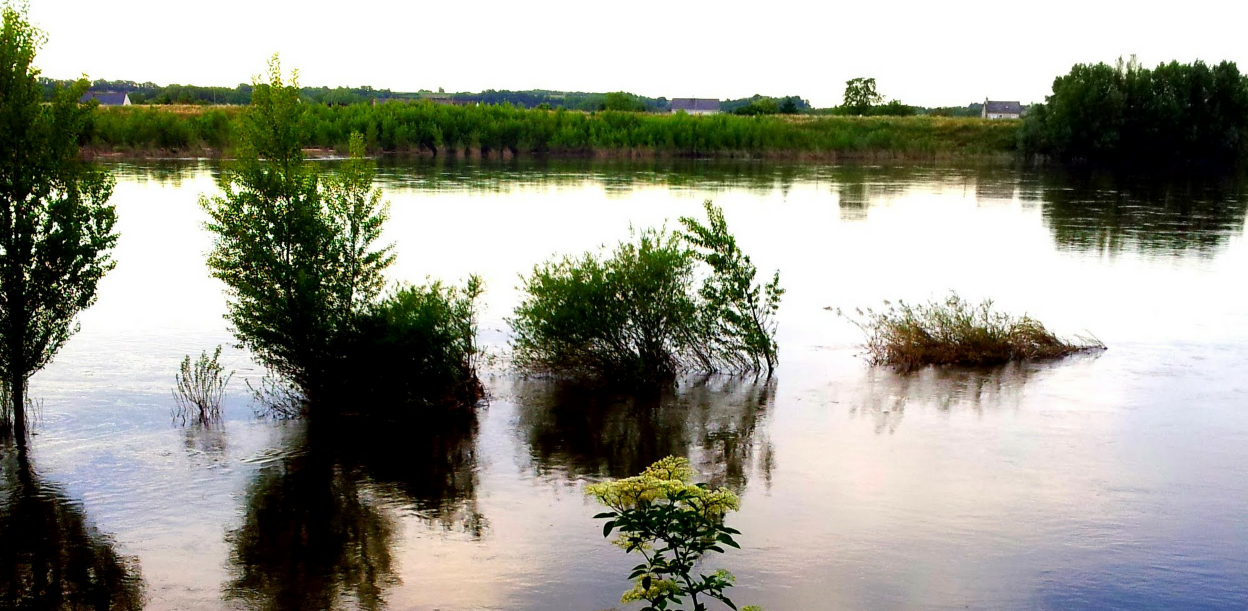 Comme MOUCHE, LOUP est toujours là.