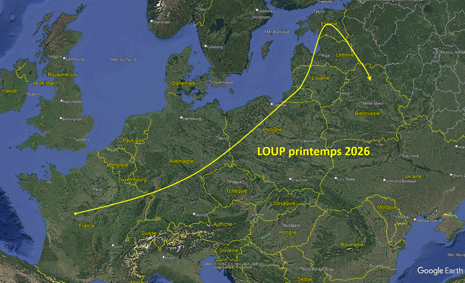 LOUP est arrivé en Estonie mais il en est aussitôt reparti…