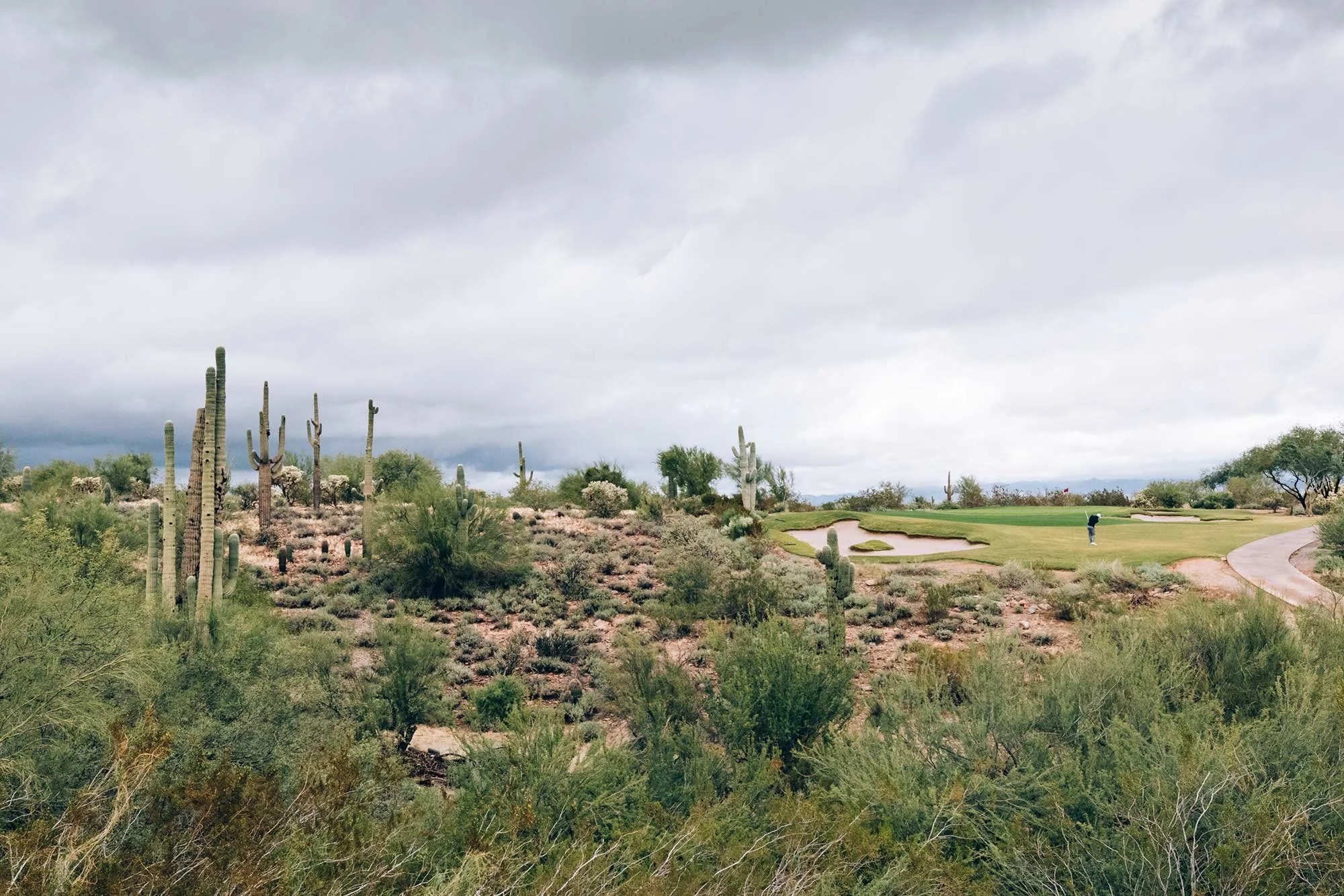 Golfer on an Arizona desert golf course surrounded by towering saguaro cacti beneath a dramatic cloudy sky
