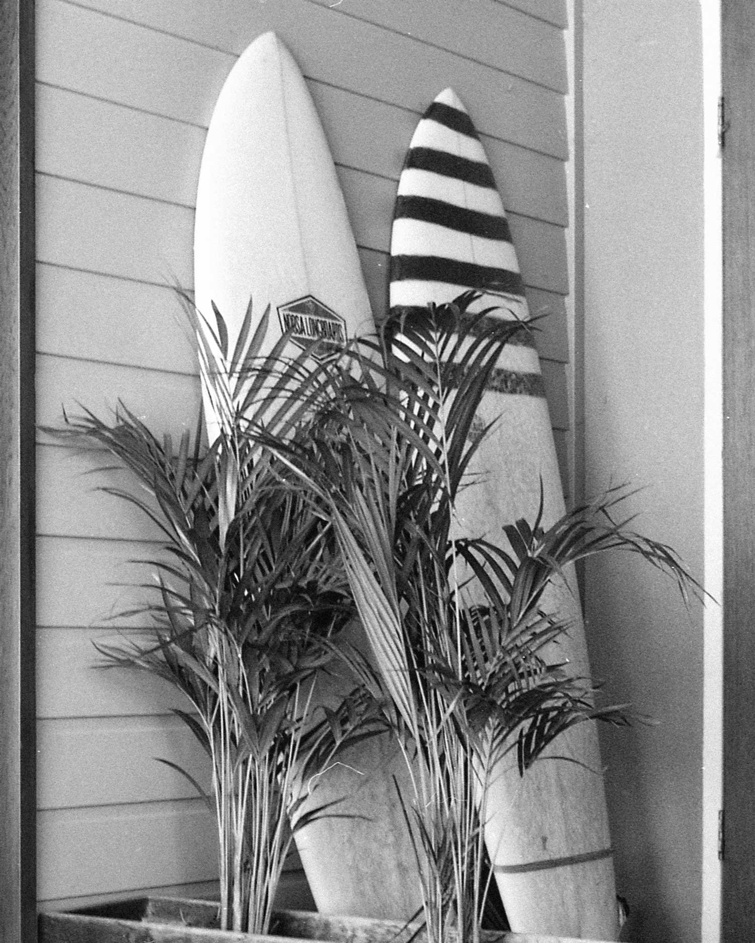 Black and white editorial film photograph of surfboards displayed indoors, analogue lifestyle work by Karl Mackie