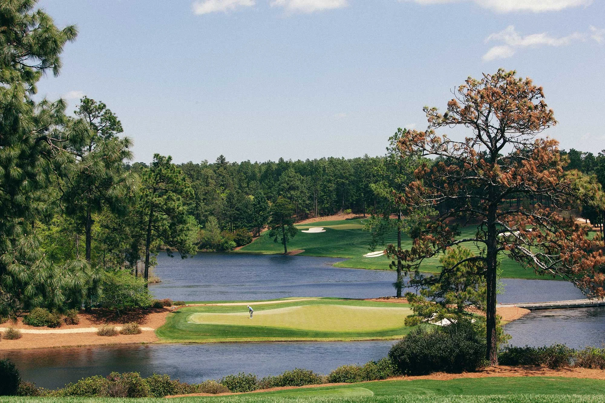 Golf course surrounded by pine forest and water in Atlanta, Georgia