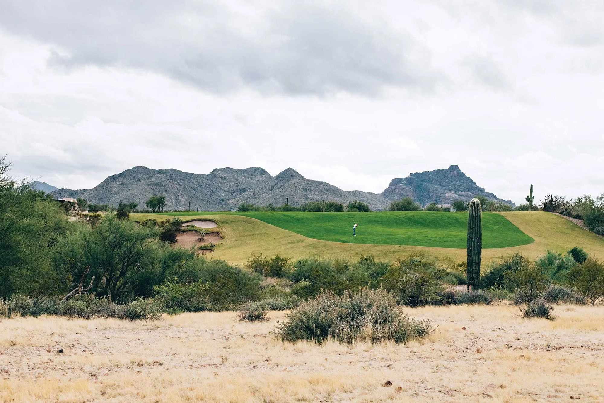 Golfer playing through a desert golf course surrounded by cacti and rugged mountains in Arizona