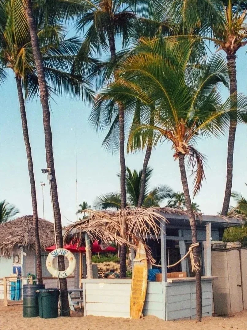 beach-bar-karl-mackie.jpg