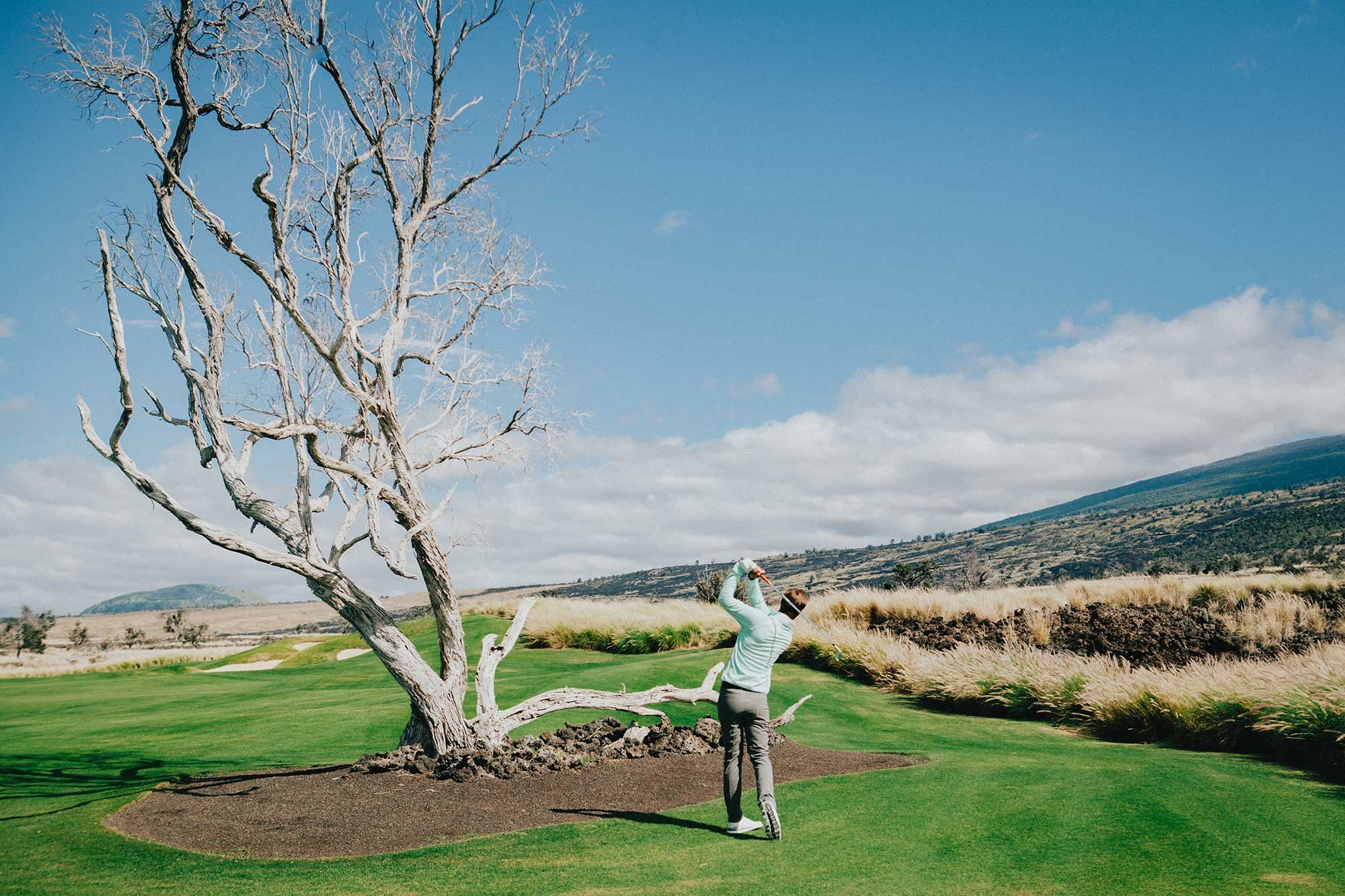 Nicolas Colsaerts playing golf beside a striking bare tree at Nanea Golf Club in Hawaii