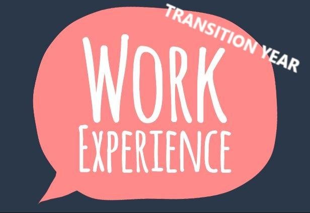 TY Work Experience