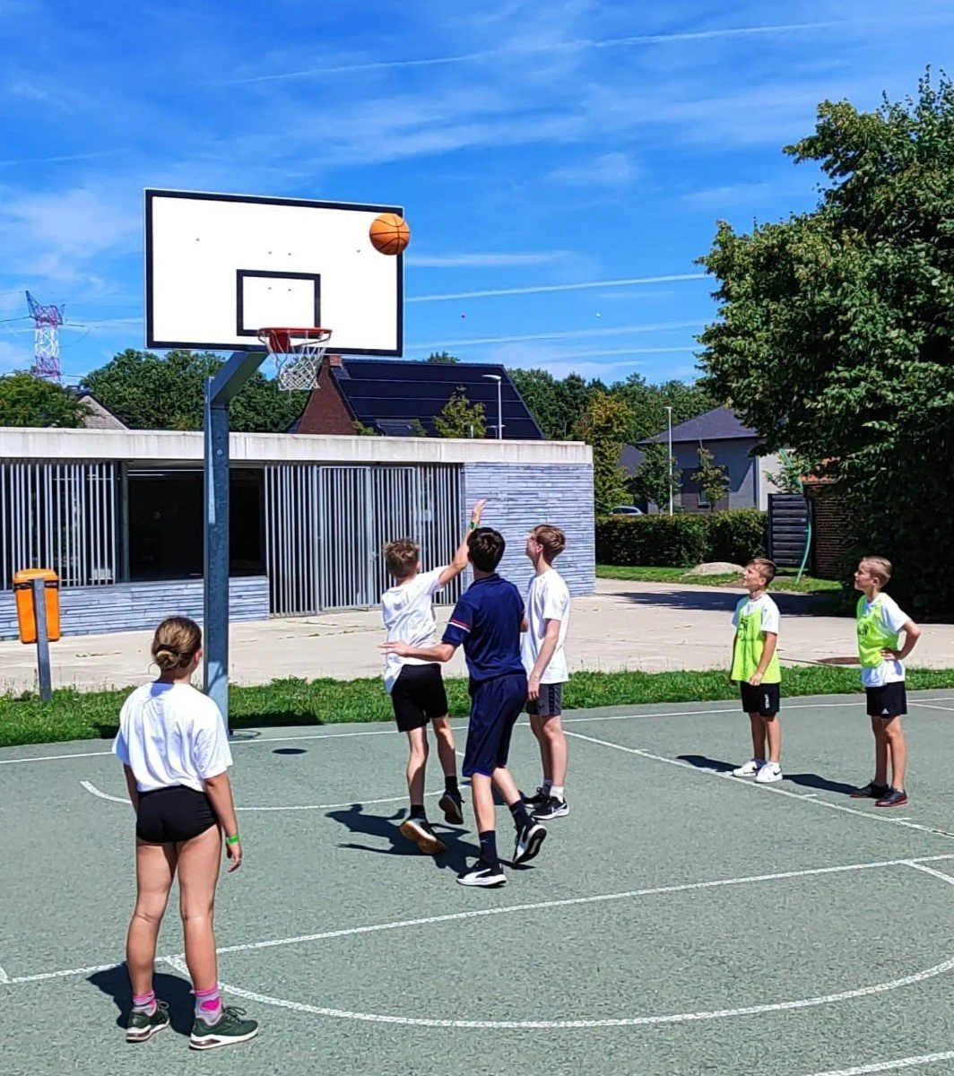 WhatsApp Image 2026-02-13 at 16.48.57-6.jpeg