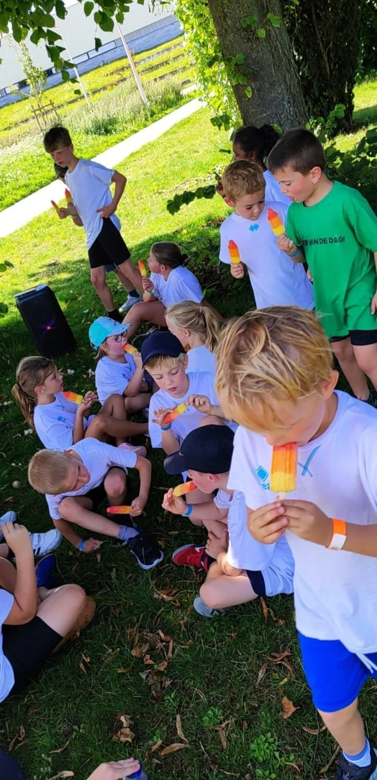 WhatsApp Image 2026-02-13 at 16.48.56-4.jpeg