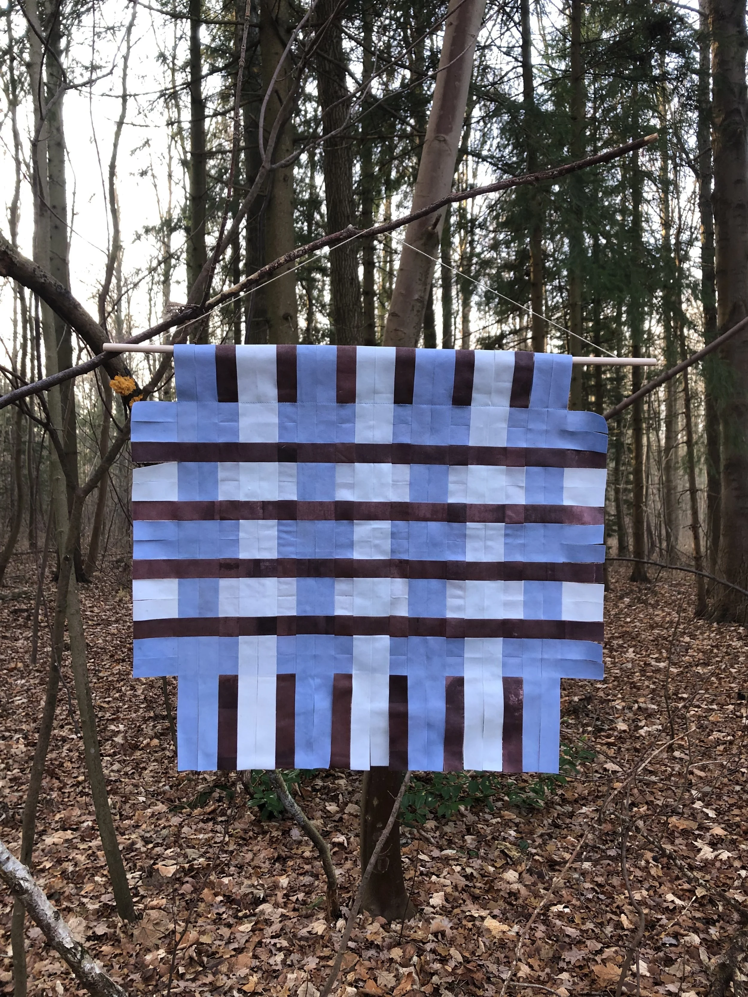 Nr. 12 / Ro på række