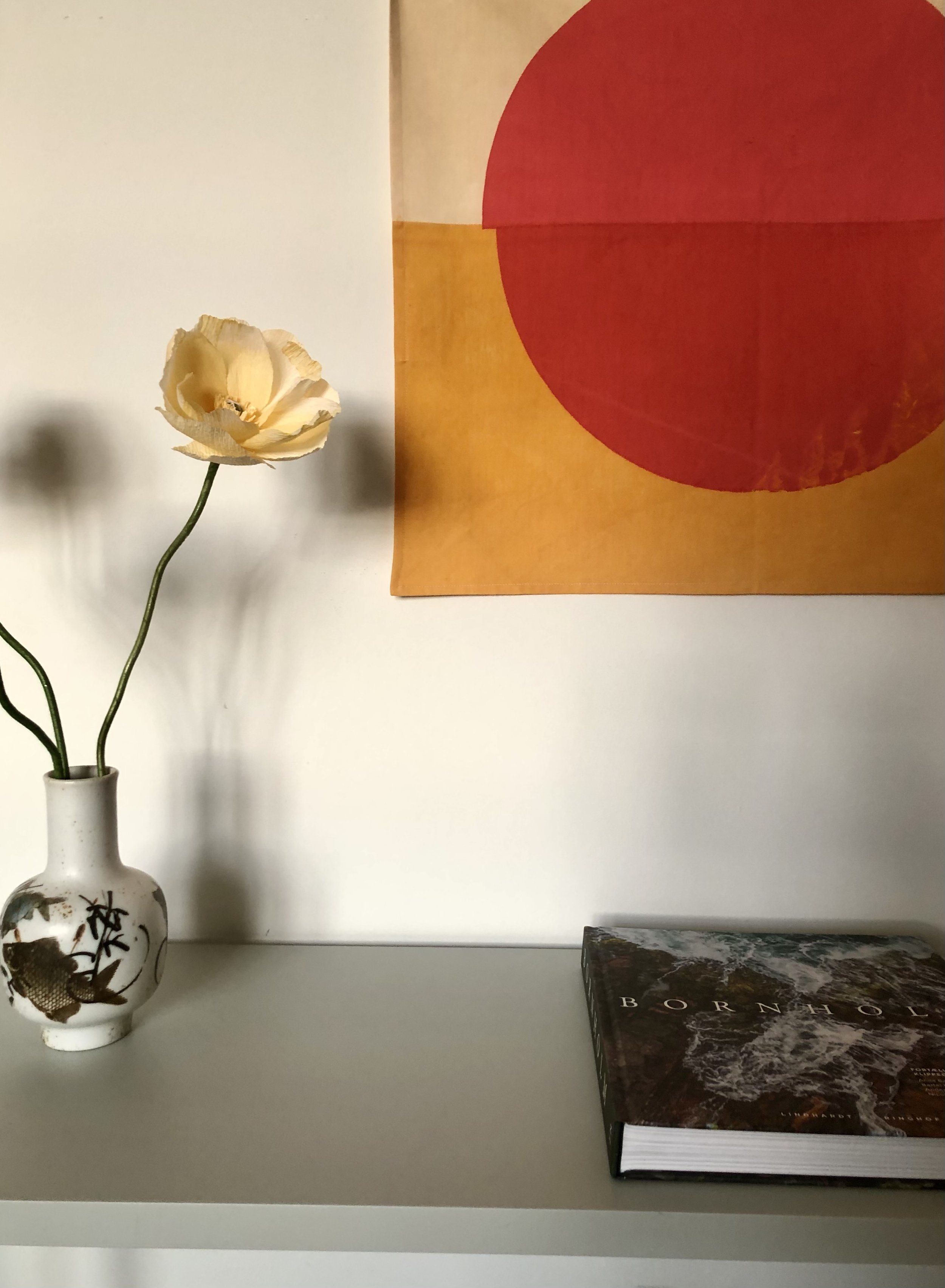 IMG_7384.jpeg