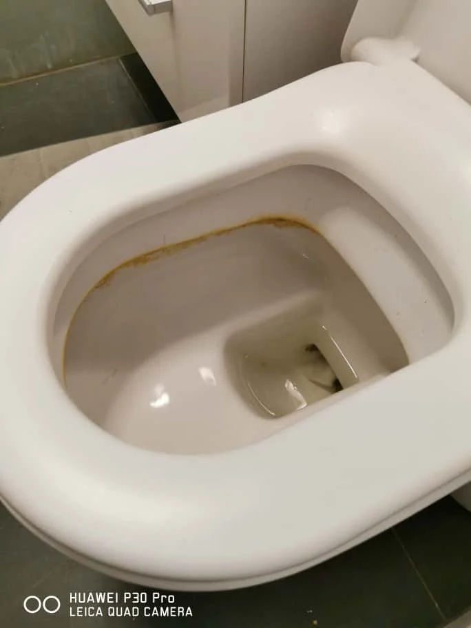 PHOTO-2025-11-06-19-58-48 6.jpg