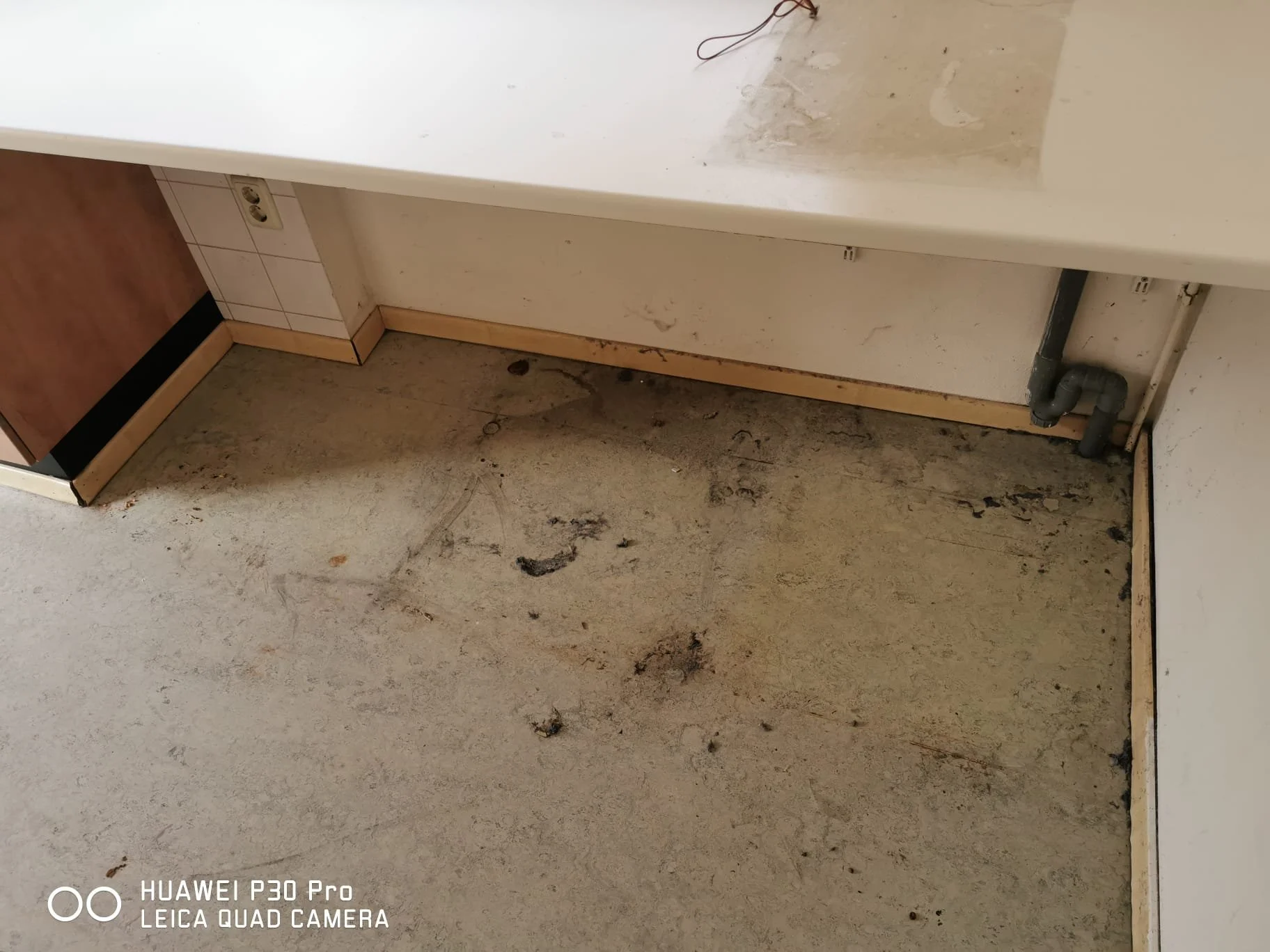 PHOTO-2025-11-06-20-02-51 2.jpg