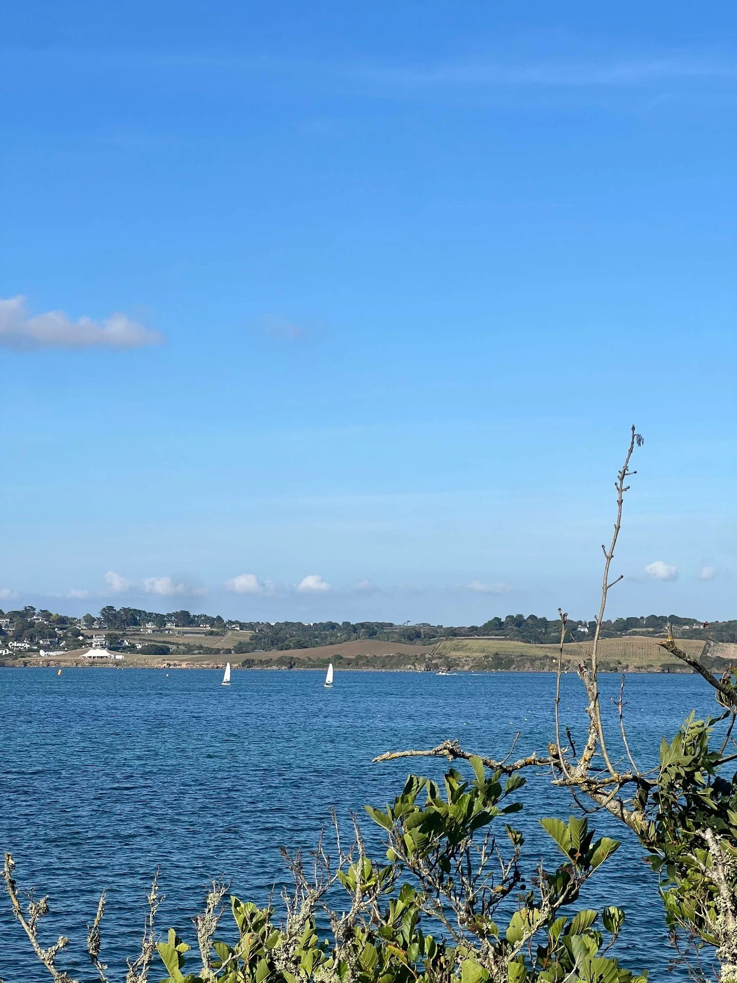 Friday feeling by the River Camel! 🌊
 Another stunning view from Cornwall's most beautiful cycle trail.  Ready for the weekend? 🚴&zwj;♀️

www.bridgebikehire.co.uk | Tel: 01208 813050 | Email: info@bridgebikehire.co.uk
 #CamelTrail #Wadebridge #Pads