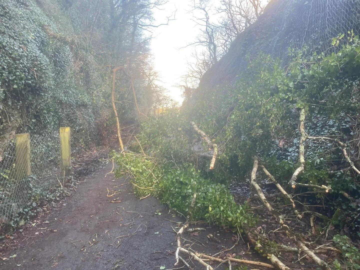 Closed Until Further Notice
Sadly, due to so many fallen trees on the Camel trail we will be closed until it is a little safer for our customers.
We will keep you updated and hope everyone stayed safe during the storm.
We will see you again, hopefull