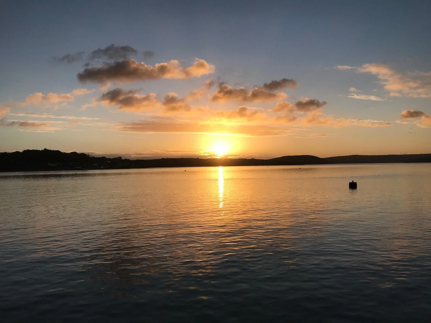 Dear sunshine, we've missed you. Please stay 🌞
The Camel Trail has had quite the wash this winter, but look at her now &mdash; glowing. We're taking this as our official sign to dust off the bikes and get out there 🚴&zwj;♀️
Come join us. We've got 