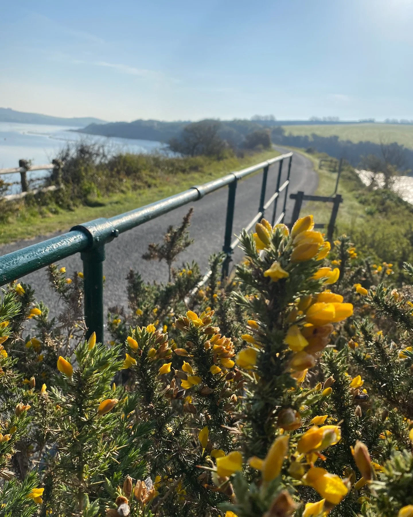 Views that never get old 😍

The Camel Estuary is one of the most beautiful stretches of cycling in the whole country &mdash; and we might be biased, but we think it&rsquo;s especially gorgeous right now.

Come and see for yourself 🚲

📞 01208 81305