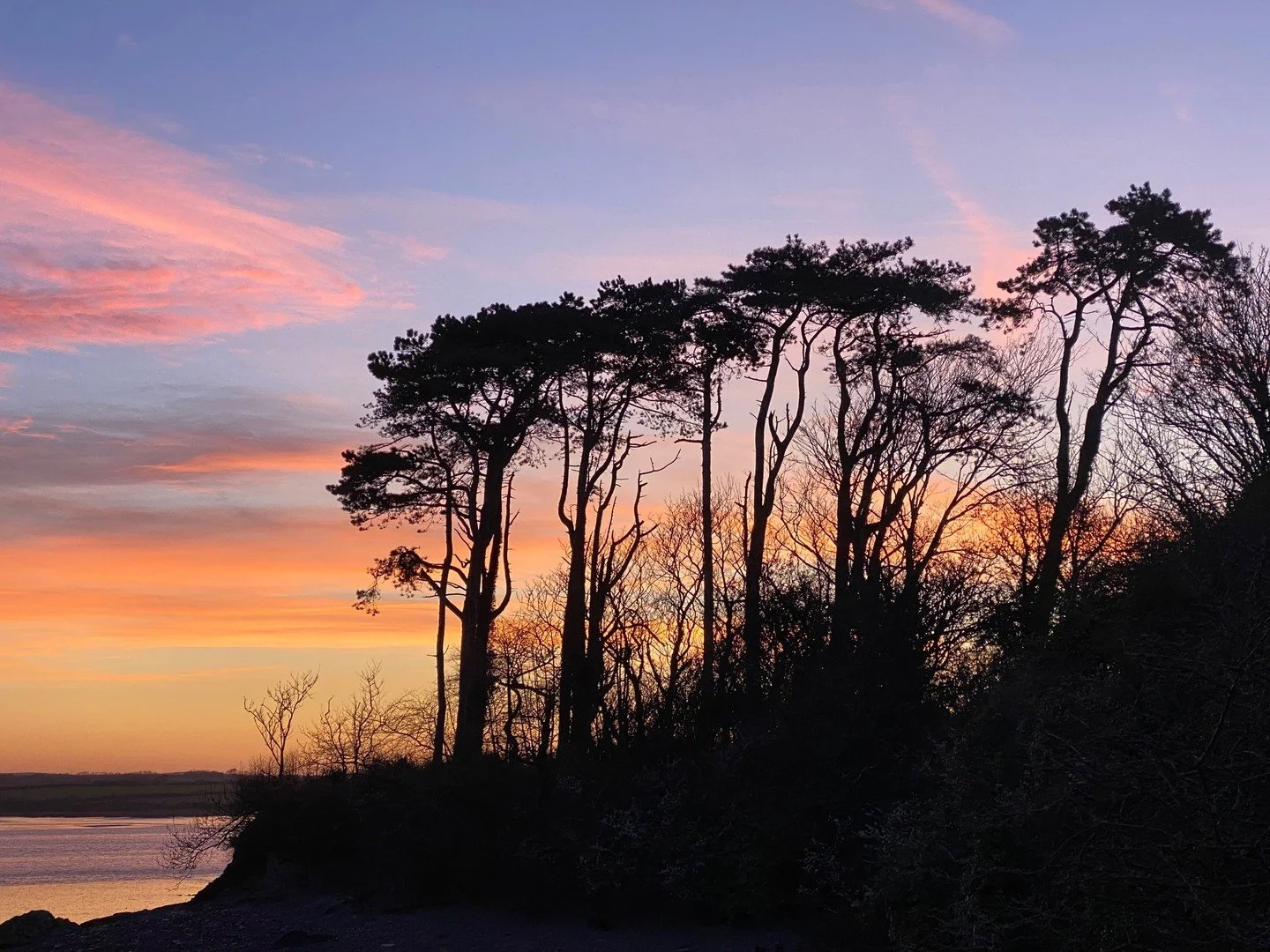April on the Camel Trail 😍
It really doesn't get much better than this. The light in Cornwall at this time of year is something else entirely.
We're open every day &mdash; just give us a call to check what's available 🚲
📞 01208 813050
📧 info@brid
