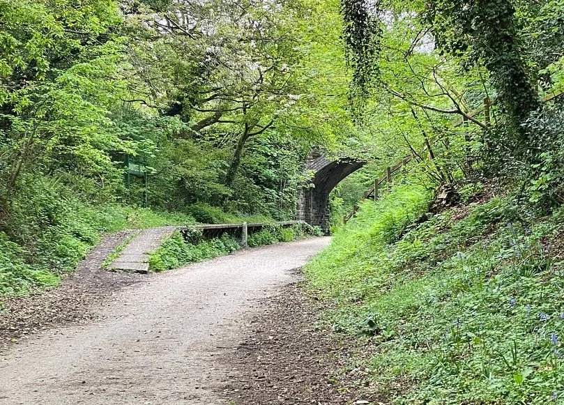 The Bodmin stretch of the Camel Trail is so worth doing 🚲🌲

Quieter than the estuary route, recently resurfaced and absolutely gorgeous woodland all the way. The Borough Arms at Dunmere is brilliant for a stop &mdash; great pub grub and a playgroun