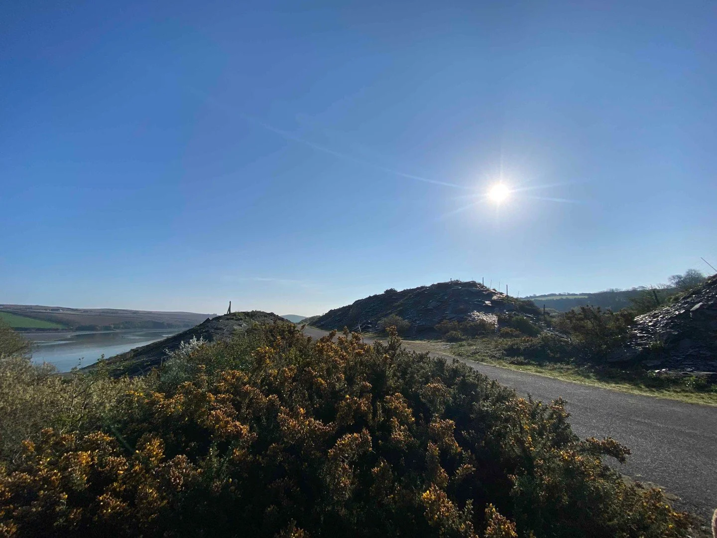 Evening rides on the Camel Trail are something special ✨
The light, the quiet, the estuary glowing &mdash; it's a completely different experience to the daytime. And after 2pm, you get 20% off your hire too 🎉
Something a little different for a Frida