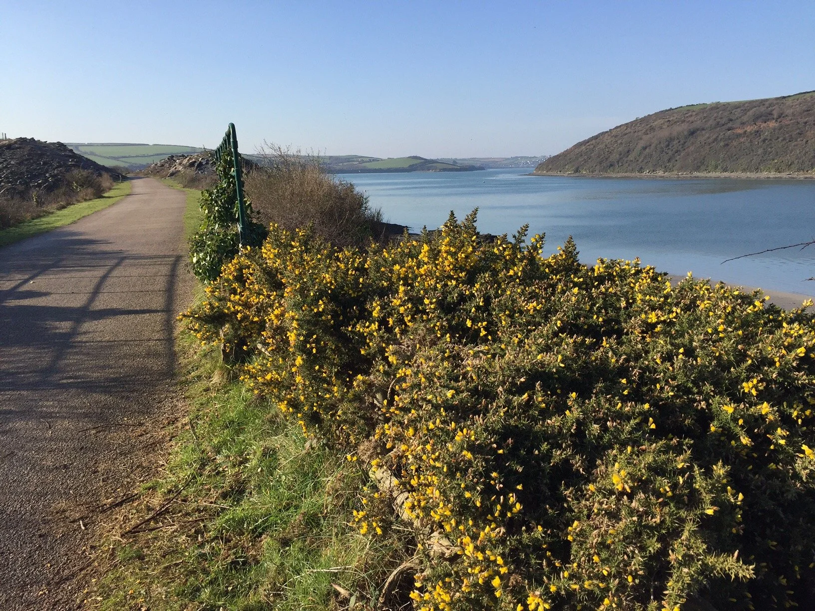 The quarry marks roughly the halfway point on the trail, and it earns a stop every single time.
There's a caf&eacute; up here for drinks and ice cream &mdash; and honestly, sitting there with the view after the ride from Wadebridge is one of life's s