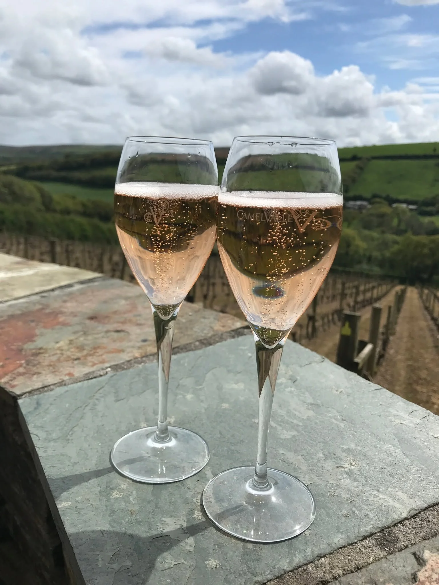 We feel this needs very little explanation. 🍷
Camel Valley Vineyard &mdash; two Royal Warrants, multi award-winning, and just off the trail on the Bodmin side. The hill up to it is steep enough that we'd recommend pushing the bikes rather than ridin