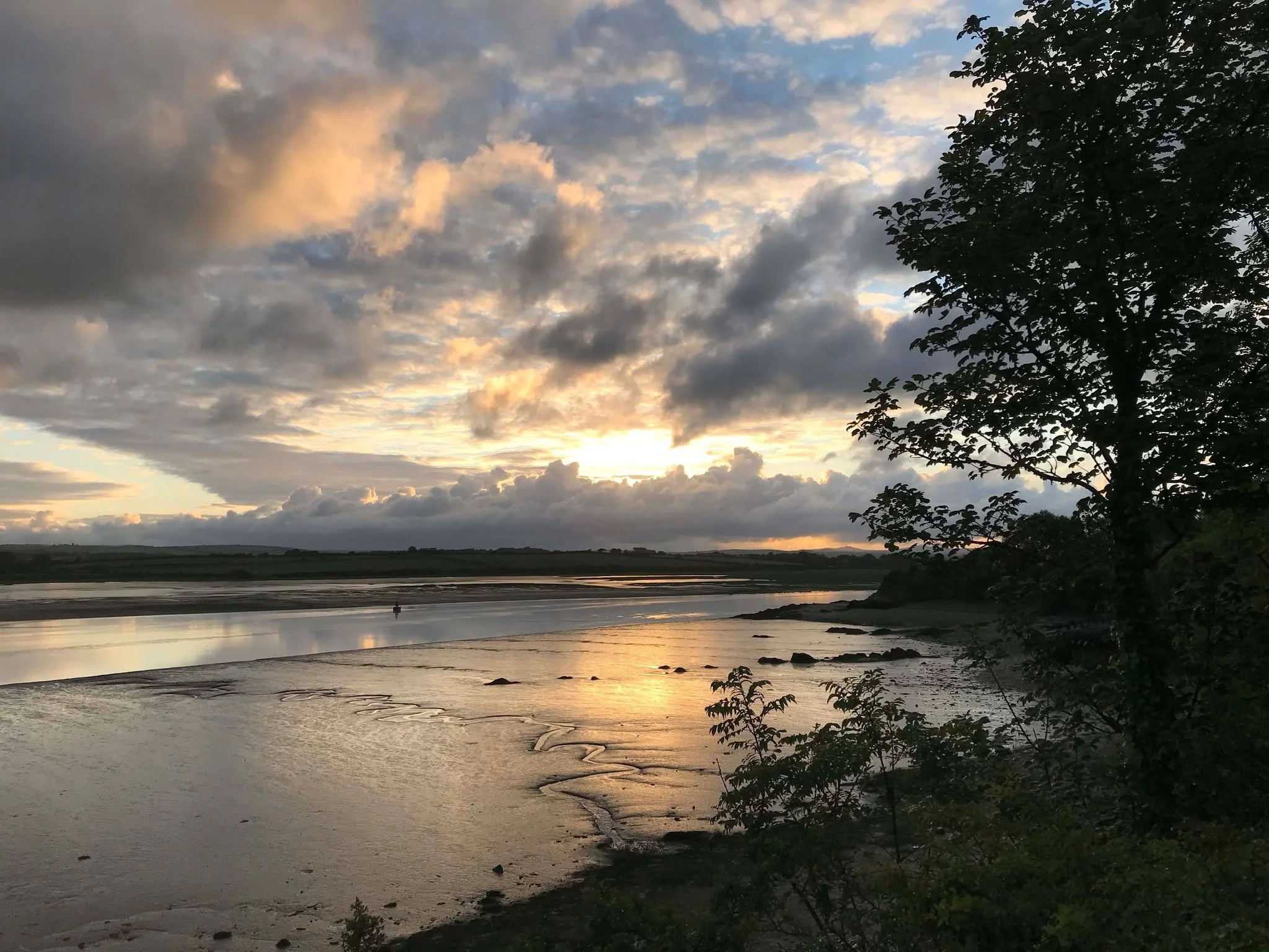 Early bird gets the view! 🌅
 There's magic in those sunrise rides when the tide's out and the mudflats come alive
The Camel Trail whatever time of day you head out always gives you something new to see - book your adventure and see it for yourself! 