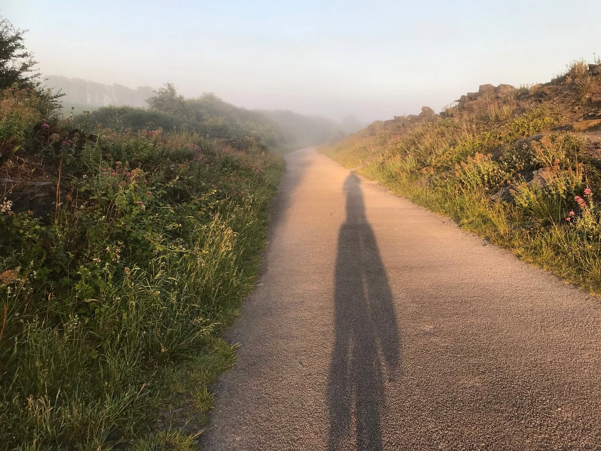 Bit of sea mist early morning, chilly but beautiful

#cameltrail #sunrise #seamist #uk