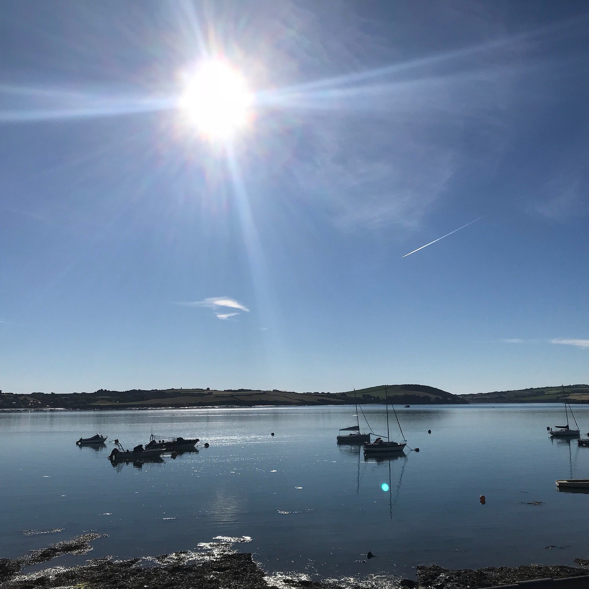 This is what dreams are made of! ☀️ Bright blue skies, boats bobbing on the river, and the trail all yours to explore. 
Summer on the Camel Trail is something everyone needs to experience. 

Book your perfect day now before someone else snaps up your