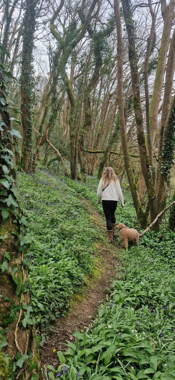 Kelly wandering through some wild garlic in the Blue Bell Woods on the Camel Trail