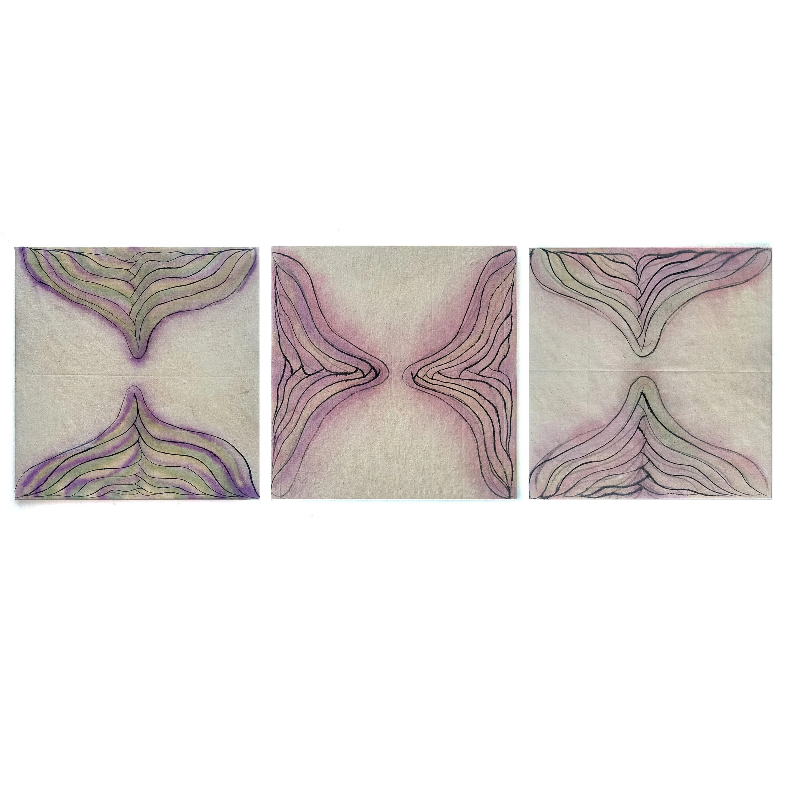 La Fleur Inverse (étude i, ii, iii)