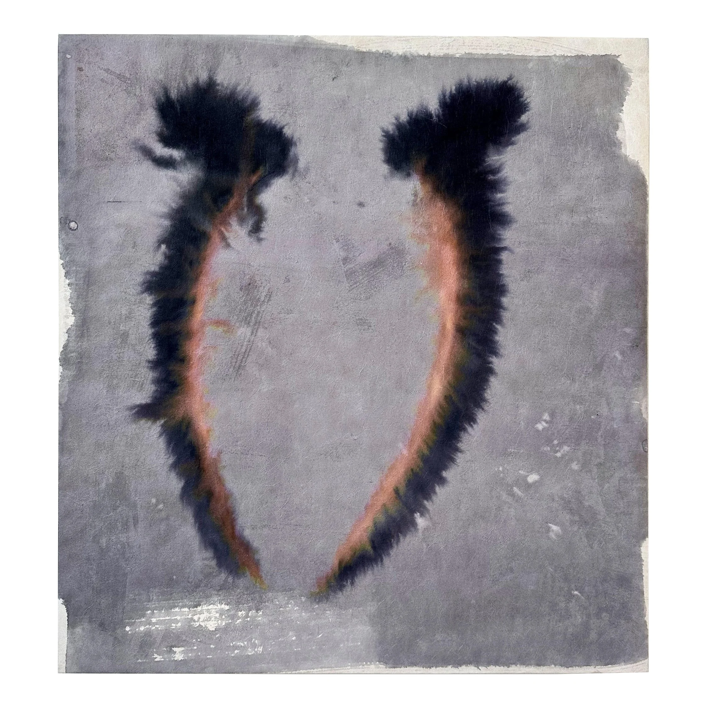 Wishbones 1