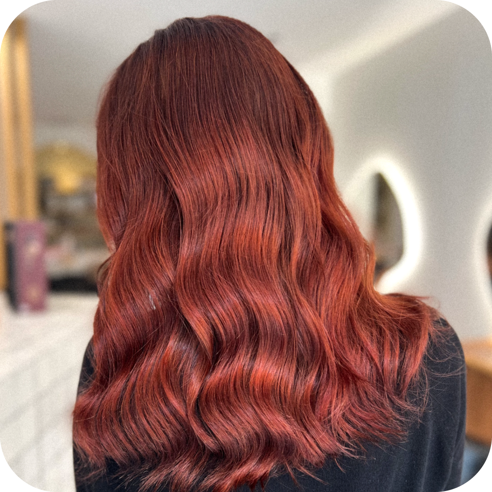 gloss-coloration.png