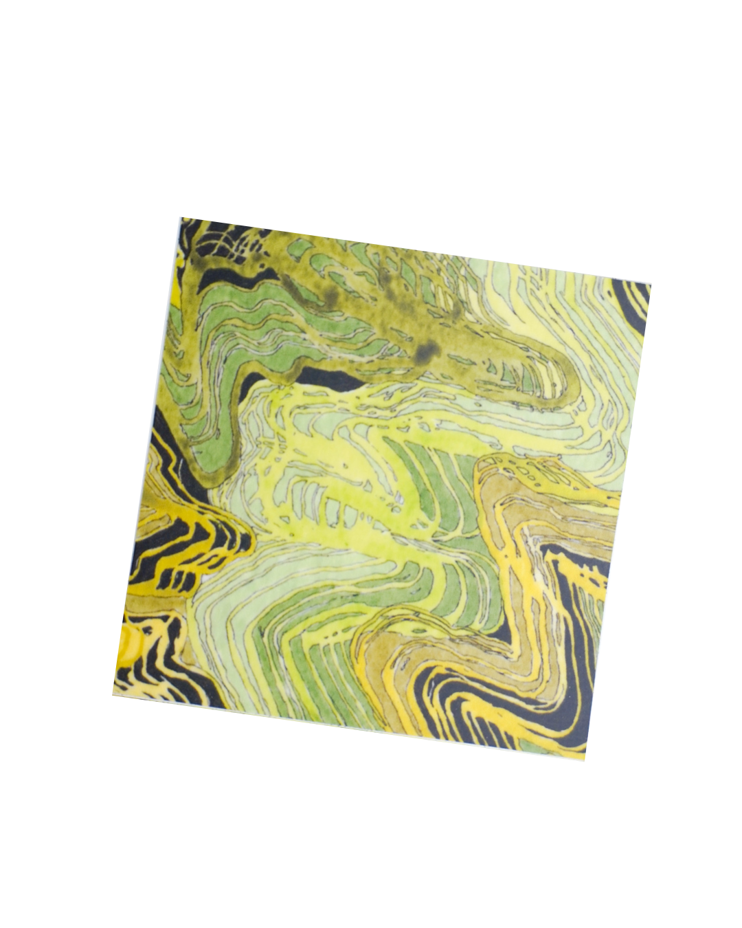 Crocodile - Square Sticker