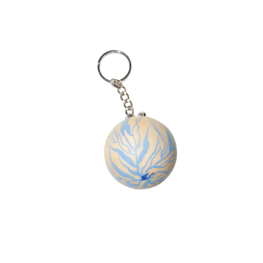 Keychain_Mini_Light+Blue_Background+Removed.png